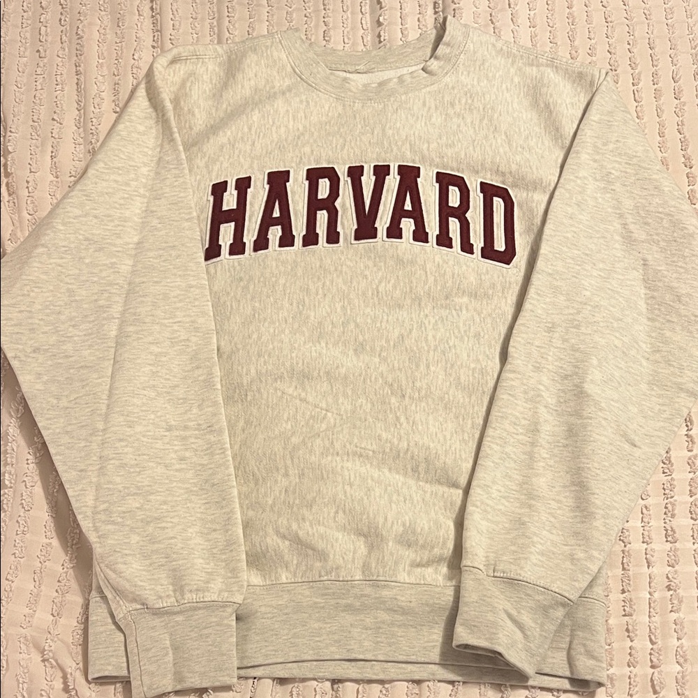 Crewneck Sweater in Gray